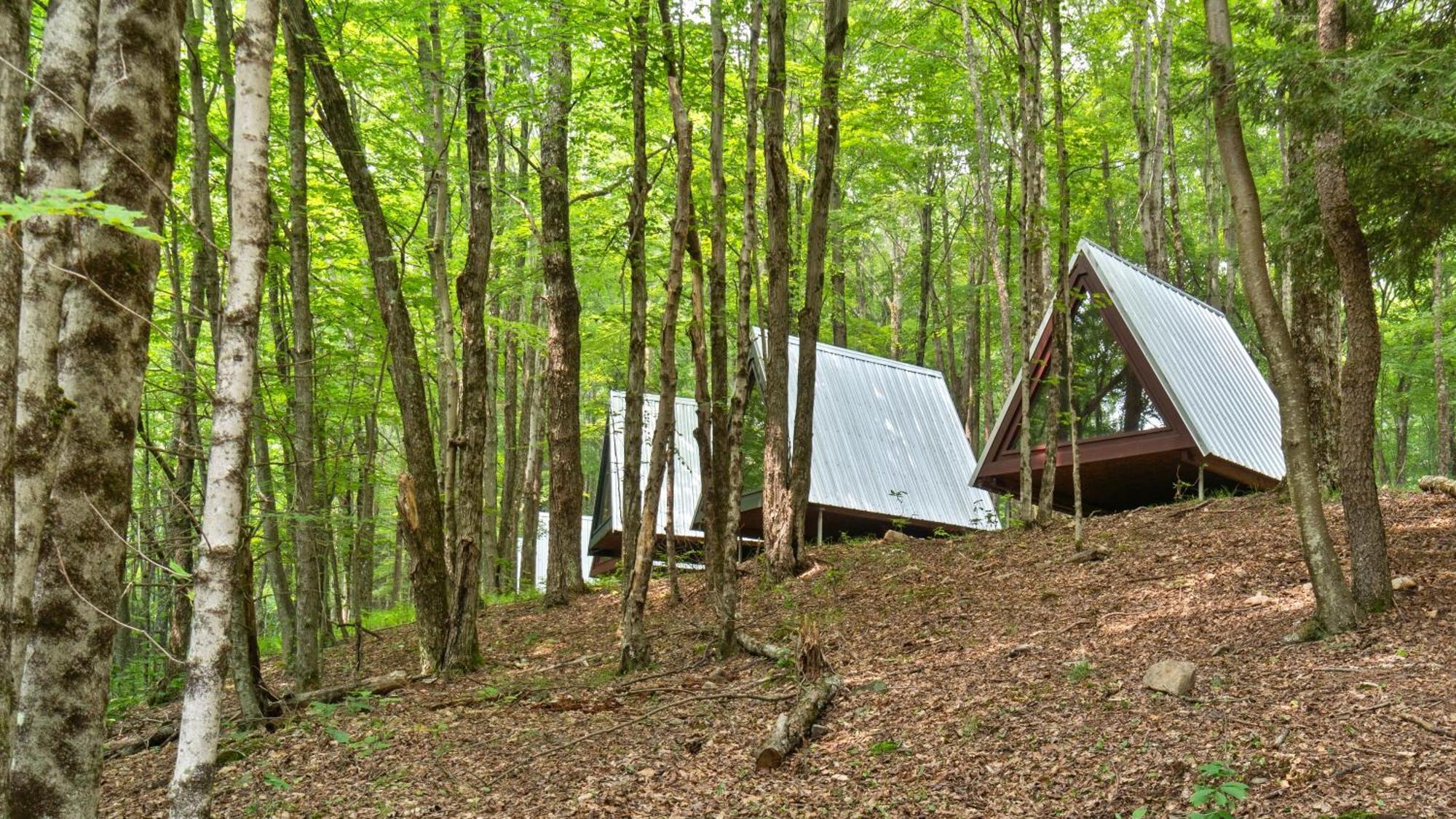 Callicoon Hills Callicoon Center Esterno foto